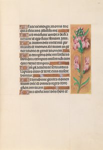 Hours of Queen Isabella the Catholic, Queen of Spain: Fol. 207r, c. 1500. av Master of the First Prayerbook of Maximillian