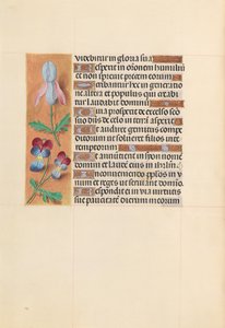 Hours of Queen Isabella the Catholic, Queen of Spain: Fol. 207v, c. 1500. av Master of the First Prayerbook of Maximillian