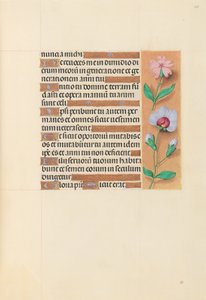 Hours of Queen Isabella the Catholic, Queen of Spain: Fol. 208r, c. 1500. av Master of the First Prayerbook of Maximillian