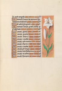 Hours of Queen Isabella the Catholic, Queen of Spain: Fol. 211r, c. 1500. av Master of the First Prayerbook of Maximillian