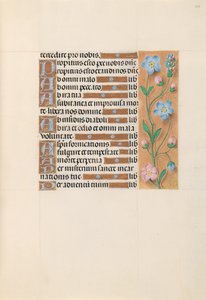 Hours of Queen Isabella the Catholic, Queen of Spain: Fol. 213r, c. 1500. av Master of the First Prayerbook of Maximillian