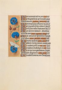 Hours of Queen Isabella the Catholic, Queen of Spain: Fol. 213v, c. 1500. av Master of the First Prayerbook of Maximillian