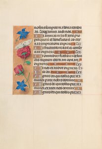 Hours of Queen Isabella the Catholic, Queen of Spain: Fol. 214v, c. 1500. av Master of the First Prayerbook of Maximillian