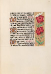 Hours of Queen Isabella the Catholic, Queen of Spain: Fol. 217r, c. 1500. av Master of the First Prayerbook of Maximillian