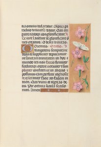 Hours of Queen Isabella the Catholic, Queen of Spain: Fol. 21r, c. 1500. av Master of the First Prayerbook of Maximillian