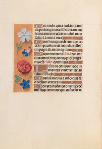 Hours of Queen Isabella the Catholic, Queen of Spain: Fol. 221v, c. 1500. av Master of the First Prayerbook of Maximillian