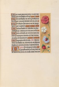 Hours of Queen Isabella the Catholic, Queen of Spain: Fol. 222r, c. 1500. av Master of the First Prayerbook of Maximillian