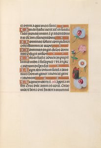 Hours of Queen Isabella the Catholic, Queen of Spain: Fol. 225r, c. 1500. av Master of the First Prayerbook of Maximillian