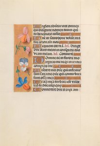 Hours of Queen Isabella the Catholic, Queen of Spain: Fol. 228v, c. 1500. av Master of the First Prayerbook of Maximillian