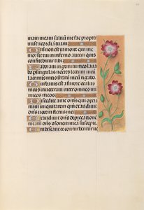 Hours of Queen Isabella the Catholic, Queen of Spain: Fol. 229r, c. 1500. av Master of the First Prayerbook of Maximillian
