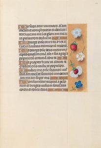 Hours of Queen Isabella the Catholic, Queen of Spain: Fol. 230r, c. 1500. av Master of the First Prayerbook of Maximillian