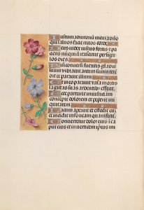 Hours of Queen Isabella the Catholic, Queen of Spain: Fol. 230v, c. 1500. av Master of the First Prayerbook of Maximillian