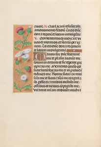 Hours of Queen Isabella the Catholic, Queen of Spain: Fol. 232v, c. 1500. av Master of the First Prayerbook of Maximillian