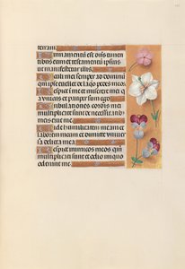 Hours of Queen Isabella the Catholic, Queen of Spain: Fol. 235r, c. 1500. av Master of the First Prayerbook of Maximillian