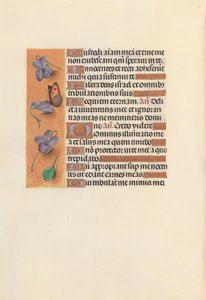 Hours of Queen Isabella the Catholic, Queen of Spain: Fol. 235v, c. 1500. av Master of the First Prayerbook of Maximillian