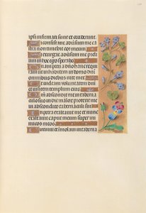 Hours of Queen Isabella the Catholic, Queen of Spain: Fol. 236r, c. 1500. av Master of the First Prayerbook of Maximillian