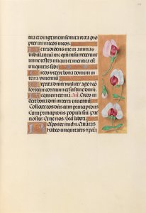 Hours of Queen Isabella the Catholic, Queen of Spain: Fol. 237r, c. 1500. av Master of the First Prayerbook of Maximillian