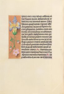 Hours of Queen Isabella the Catholic, Queen of Spain: Fol. 237v, c. 1500. av Master of the First Prayerbook of Maximillian