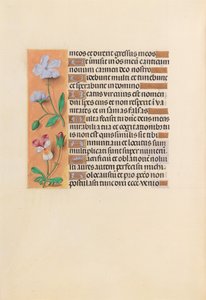 Hours of Queen Isabella the Catholic, Queen of Spain: Fol. 239v, c. 1500. av Master of the First Prayerbook of Maximillian
