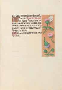 Hours of Queen Isabella the Catholic, Queen of Spain: Fol. 23r, c. 1500. av Master of the First Prayerbook of Maximillian