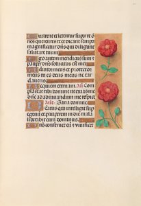 Hours of Queen Isabella the Catholic, Queen of Spain: Fol. 241r, c. 1500. av Master of the First Prayerbook of Maximillian