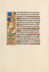 Hours of Queen Isabella the Catholic, Queen of Spain: Fol. 241v, c. 1500. av Master of the First Prayerbook of Maximillian