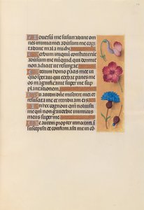 Hours of Queen Isabella the Catholic, Queen of Spain: Fol. 242r, c. 1500. av Master of the First Prayerbook of Maximillian
