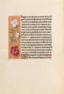 Hours of Queen Isabella the Catholic, Queen of Spain: Fol. 244v, c. 1500. av Master of the First Prayerbook of Maximillian