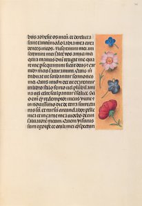 Hours of Queen Isabella the Catholic, Queen of Spain: Fol. 245r, c. 1500. av Master of the First Prayerbook of Maximillian