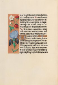 Hours of Queen Isabella the Catholic, Queen of Spain: Fol. 245v, c. 1500. av Master of the First Prayerbook of Maximillian