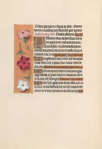 Hours of Queen Isabella the Catholic, Queen of Spain: Fol. 246v, c. 1500. av Master of the First Prayerbook of Maximillian