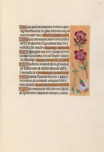 Hours of Queen Isabella the Catholic, Queen of Spain: Fol. 247r, c. 1500. av Master of the First Prayerbook of Maximillian