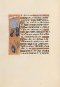 Hours of Queen Isabella the Catholic, Queen of Spain: Fol. 247v, c. 1500. av Master of the First Prayerbook of Maximillian