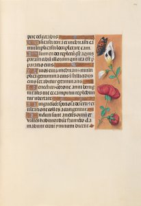 Hours of Queen Isabella the Catholic, Queen of Spain: Fol. 249r, c. 1500. av Master of the First Prayerbook of Maximillian