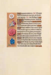 Hours of Queen Isabella the Catholic, Queen of Spain: Fol. 249v, c. 1500. av Master of the First Prayerbook of Maximillian