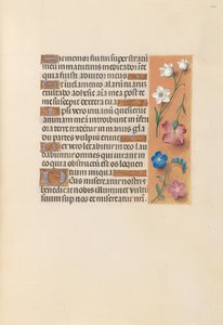 Hours of Queen Isabella the Catholic, Queen of Spain: Fol. 250r, c. 1500. av Master of the First Prayerbook of Maximillian
