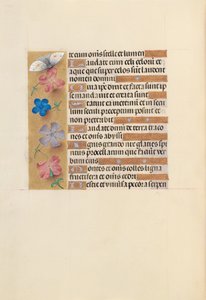 Hours of Queen Isabella the Catholic, Queen of Spain: Fol. 252v, c. 1500. av Master of the First Prayerbook of Maximillian