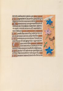 Hours of Queen Isabella the Catholic, Queen of Spain: Fol. 253r, c. 1500. av Master of the First Prayerbook of Maximillian