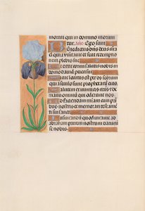 Hours of Queen Isabella the Catholic, Queen of Spain: Fol. 254v, c. 1500. av Master of the First Prayerbook of Maximillian