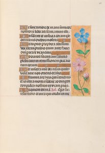Hours of Queen Isabella the Catholic, Queen of Spain: Fol. 255r, c. 1500. av Master of the First Prayerbook of Maximillian