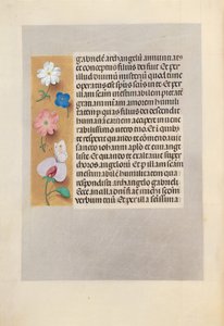 Hours of Queen Isabella the Catholic, Queen of Spain: Fol. 258v, c. 1500. av Master of the First Prayerbook of Maximillian