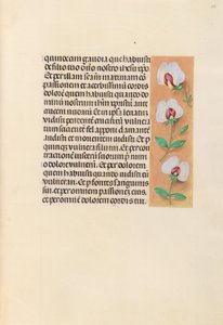 Hours of Queen Isabella the Catholic, Queen of Spain: Fol. 259r, c. 1500. av Master of the First Prayerbook of Maximillian