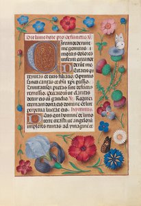 Hours of Queen Isabella the Catholic, Queen of Spain: Fol. 25r, c. 1500. av Master of the First Prayerbook of Maximillian