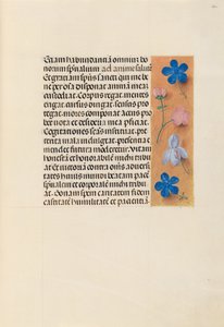 Hours of Queen Isabella the Catholic, Queen of Spain: Fol. 260r, c. 1500. av Master of the First Prayerbook of Maximillian