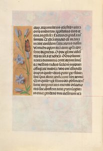Hours of Queen Isabella the Catholic, Queen of Spain: Fol. 262v, c. 1500. av Master of the First Prayerbook of Maximillian