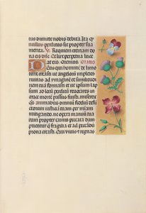 Hours of Queen Isabella the Catholic, Queen of Spain: Fol. 26r, c. 1500. av Master of the First Prayerbook of Maximillian
