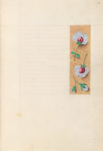 Hours of Queen Isabella the Catholic, Queen of Spain: Fol. 279r, c. 1500. av Master of the First Prayerbook of Maximillian