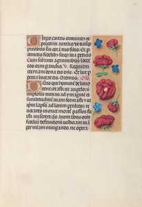 Hours of Queen Isabella the Catholic, Queen of Spain: Fol. 28r, c. 1500. av Master of the First Prayerbook of Maximillian