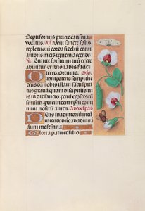Hours of Queen Isabella the Catholic, Queen of Spain: Fol. 35r, c. 1500. av Master of the First Prayerbook of Maximillian