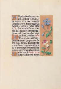 Hours of Queen Isabella the Catholic, Queen of Spain: Fol. 39r, c. 1500. av Master of the First Prayerbook of Maximillian